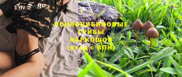 экстази Белокуриха