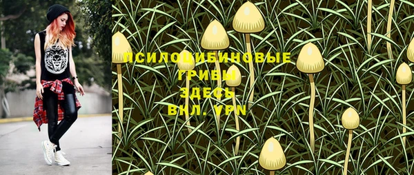 тгк Гусев