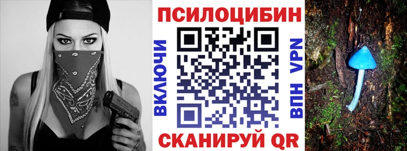 Псилоцибиновые грибы мухоморы где можно купить маркетплейс клад Пионерский ОМГ ОМГ tor